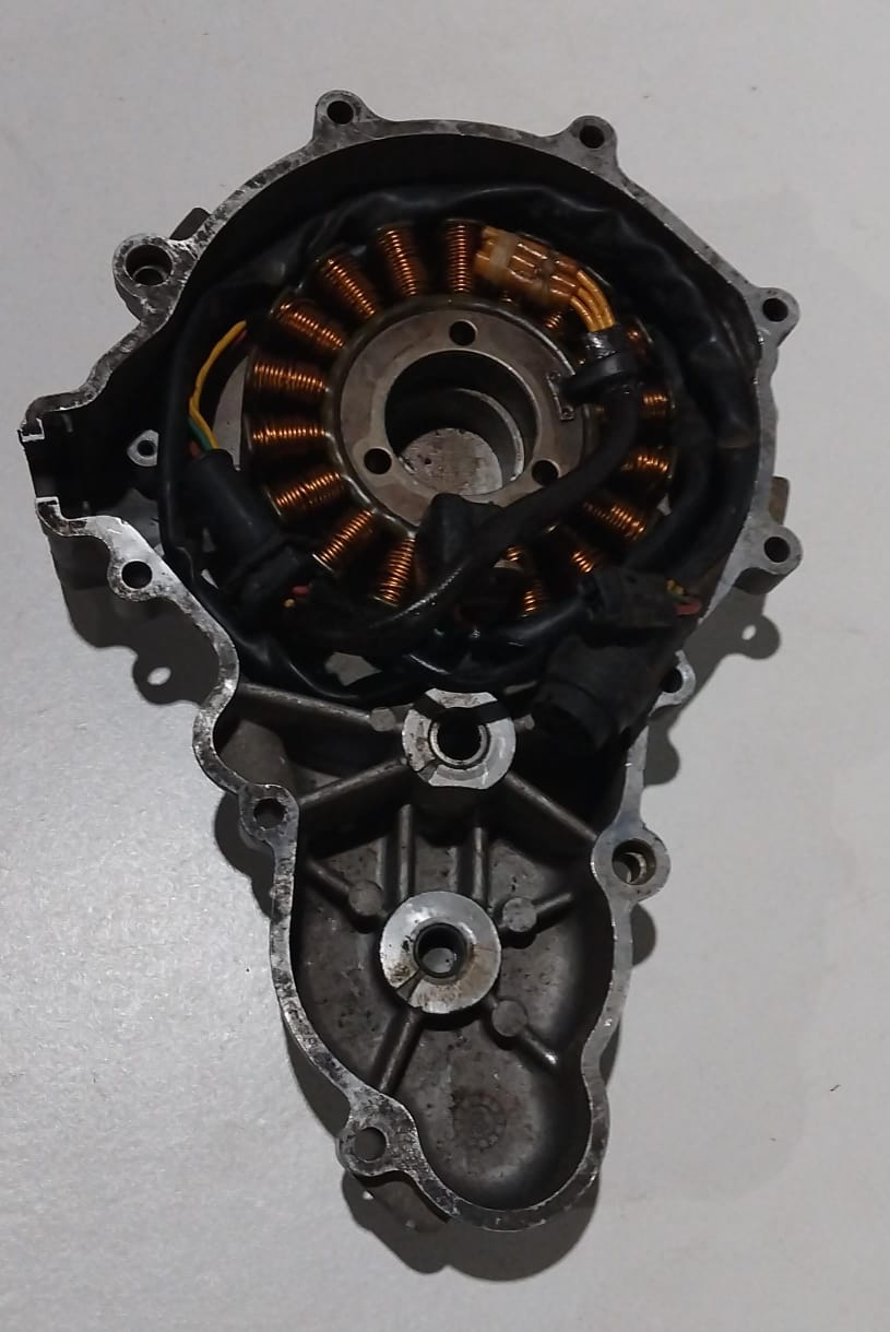 Husqvarna TE610 Dual H7 Stator and Stator Cover