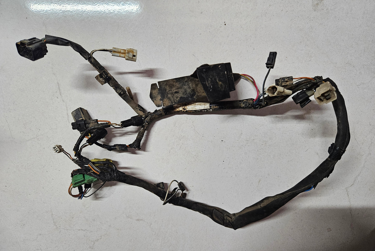 Suzuki Ozark 250 Wiring Loom