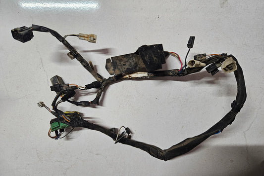Suzuki Ozark 250 Wiring Loom
