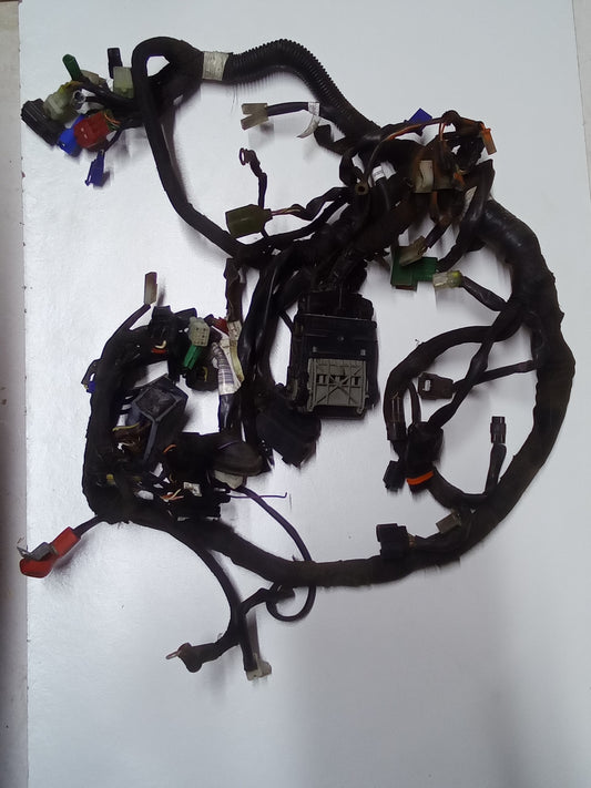 KTM 390 Duke Wiring Loom 2017