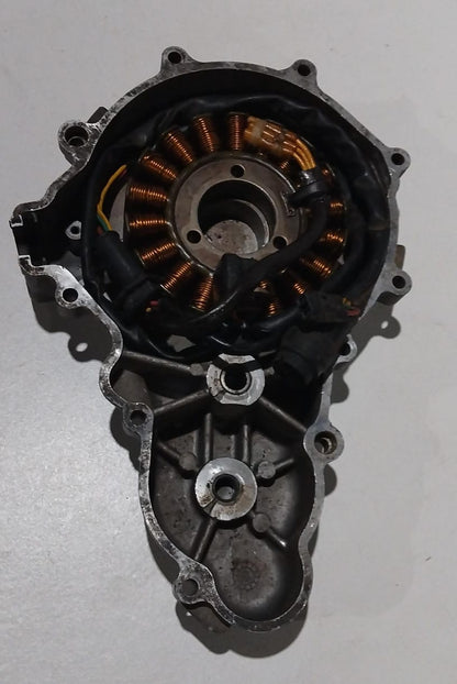 Husqvarna TE610 Dual H7 Stator and Stator Cover