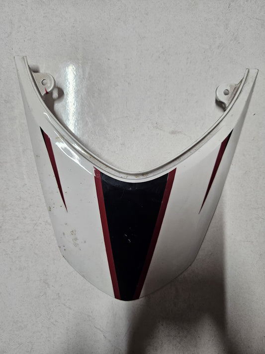 Kawasaki ZX-10R ZX10R ZX10 Tailpiece Tip