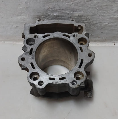 Yamaha YFM660 Raptor 660 Barrel / Cylinder