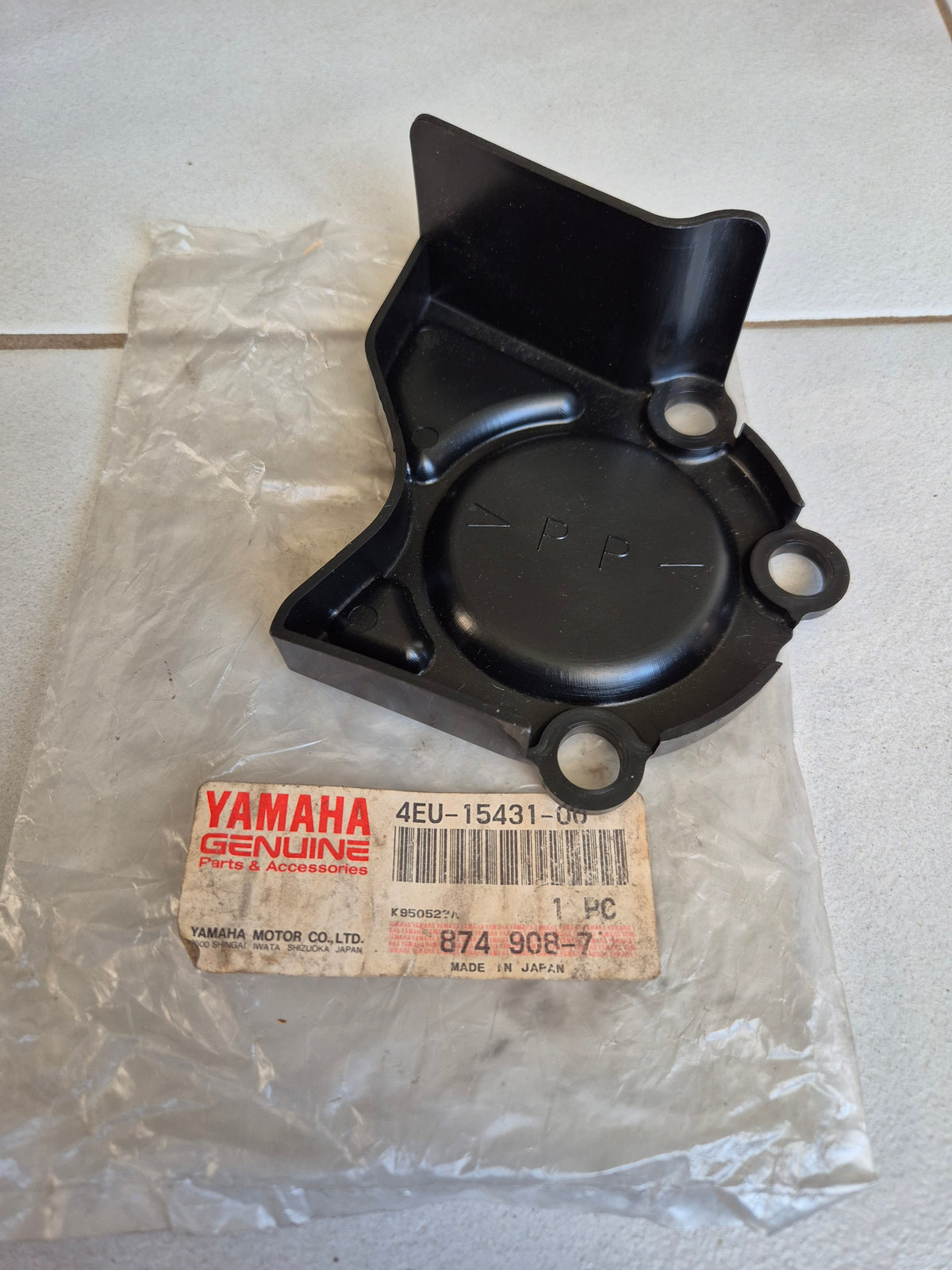 Yamaha RZ50 Crankcase Cover 3