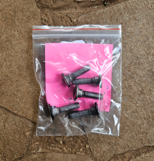 Kawasaki ZX-7R ZX7 Rear Brake Disc / Disk Bolt Set