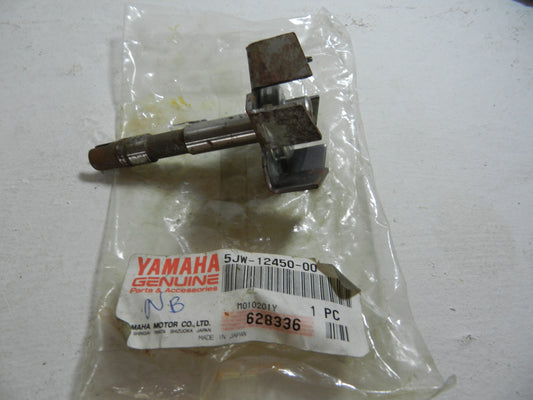 Yamaha FJR1300 Waterpomp-waaieras